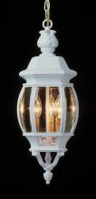 Trans Globe 4066 BC - Parsons 3-Light Traditional French-inspired Outdoor Hanging Lantern Pendant with Chain
