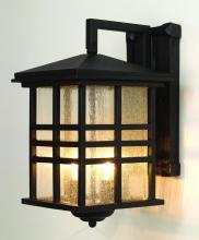 Trans Globe 4636 WB - Huntington 2-Light Craftsman Inspired Seeded Glass Wall Lantern