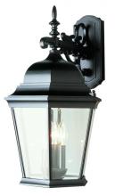 Trans Globe 51002 BK - Classical Collection, Traditional Metal and Beveled Glass, Armed Wall Lantern Light