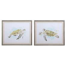 Uttermost 33720 - Uttermost Sea Turtle Study Watercolor Prints, S/2