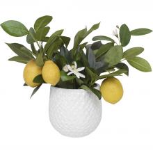 Uttermost 60190 - Uttermost Positano Lemon In White Pot